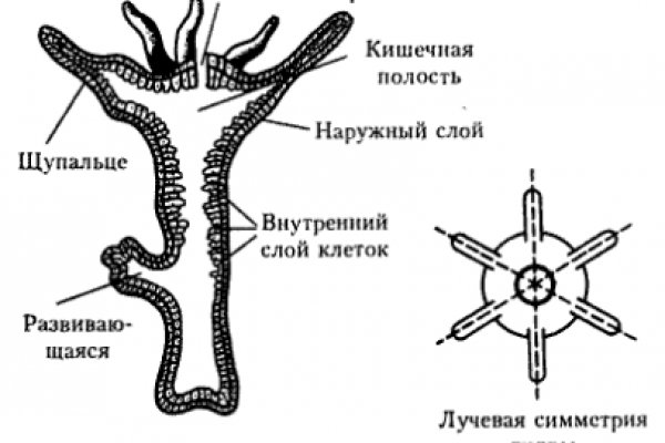 Кракен наркоплейс